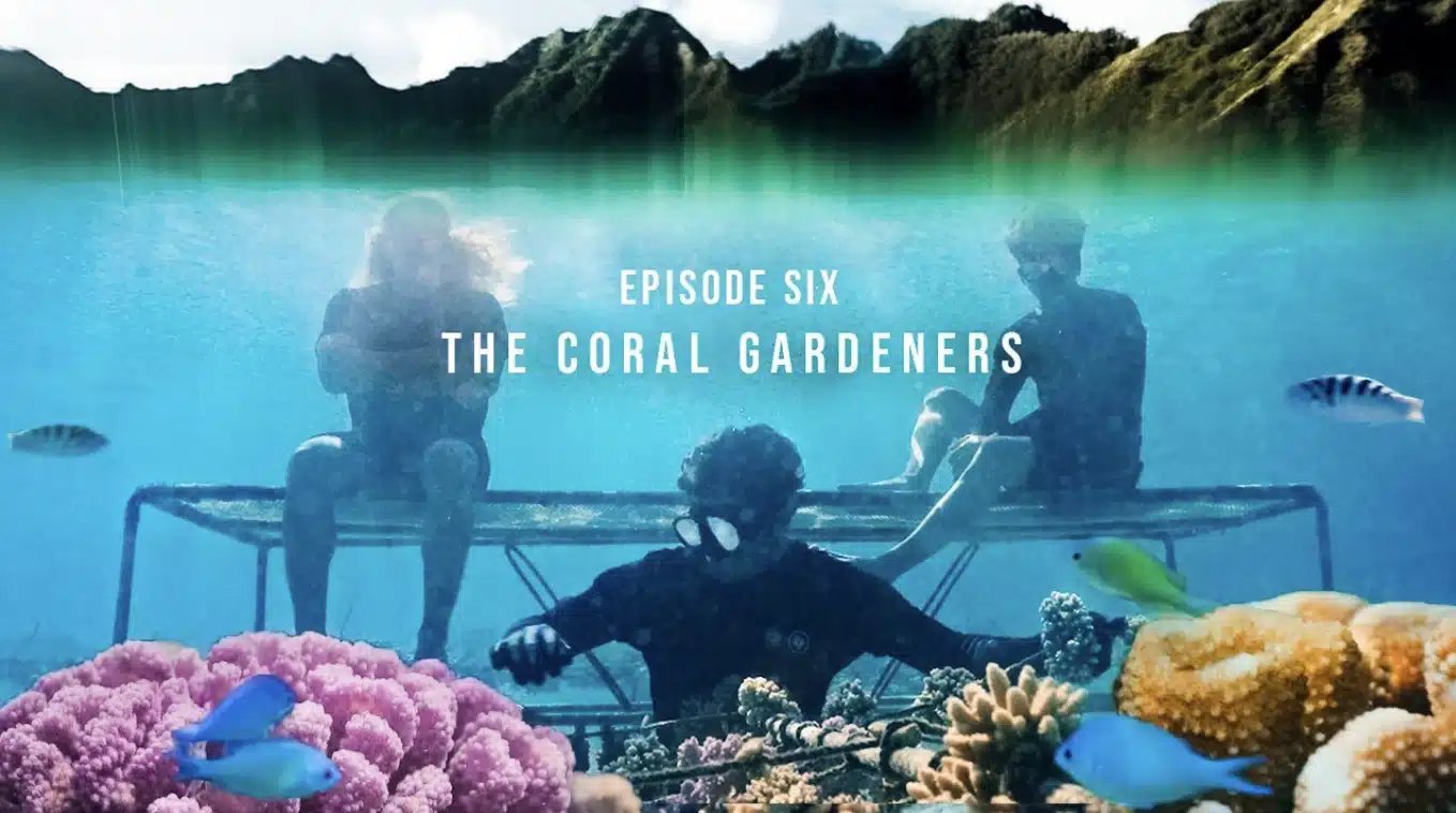 Sam Potter's Emmy award-winning film, the Coral Gardeners.